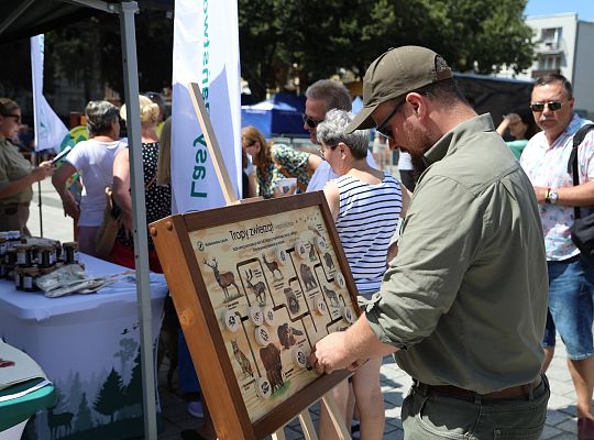 Grafika 76. Stoisko Nadleśnictwa Lębork