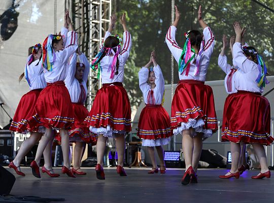 Grafika 20. Festiwal "Muzyka Regionów"