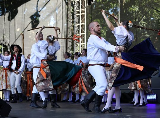 Grafika 21. Festiwal "Muzyka Regionów"