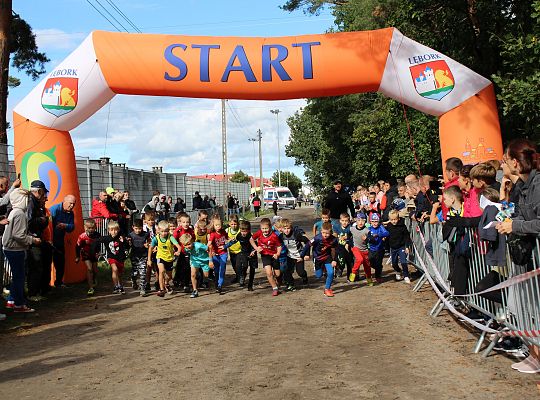 Grafika 13. Start zawodników w kategorii krasnale chłopcy